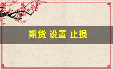 期货 设置 止损(期货设置止损止盈收费吗)_https://www.gfdzclz.com_北交所_第1张